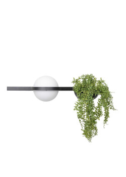 Настенный светильник LOFT IT Jardin 10121W/A