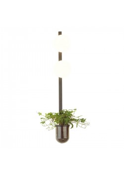 Настенный светильник Odeon Light Walli Flower 4681/2WA