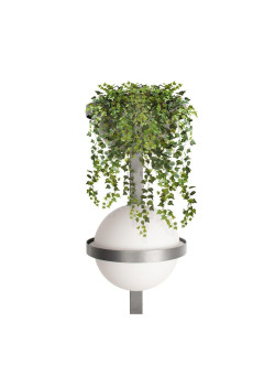 Настенный светильник LOFT IT Jardin 10121W/B Dark grey