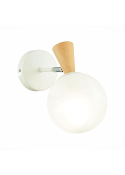 Настенный светильник Evoluce Catania SLE220701-01