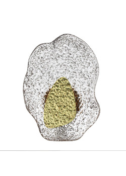 Настенный светодиодный светильник Odeon Light Coralla L-Vision 5460/12WLA