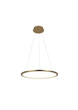 Подвесной светодиодный светильник Loft IT Ring 10014M