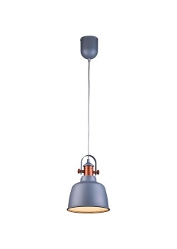Подвесной светильник Lucia Tucci Industrial 1820.1 Sand Silver