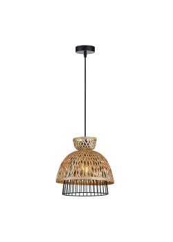 Подвесной светильник Arte Lamp WOODSTOCK A7070SP-1BK