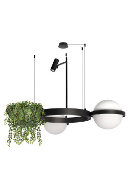 Подвесной светодиодный светильник Loft IT Jardin 10121/2