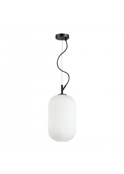 Подвесной светильник Odeon Light Pendant Roofi 4751/1