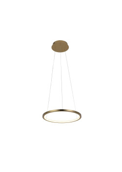 Подвесной светодиодный светильник Loft IT Ring 10014S
