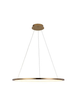 Подвесной светодиодный светильник Loft IT Ring 10014L