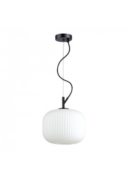 Подвесной светильник Odeon Light Pendant Roofi 4753/1