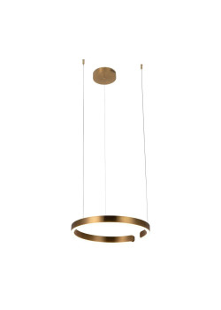 Подвесной светодиодный светильник Loft IT Ring 10013M