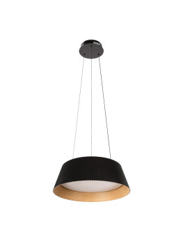 Подвесной светильник LOFT IT Evans 10224P Black