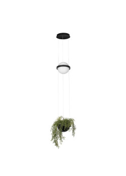 Подвесной светильник LOFT IT Jardin 10121/B