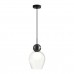 Подвесной светильник Odeon Light Blacky 5023/1