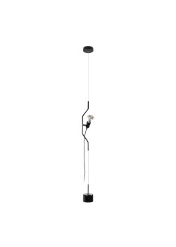 Подвесной светильник Loft IT Parentesi 10346/1 Black