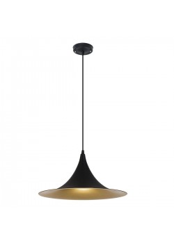 Подвесной светильник Arte Lamp Carmel A7080SP-1BK
