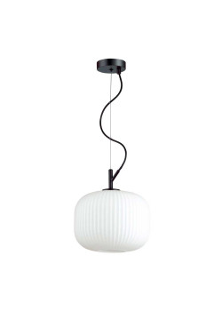 Подвесной светильник Odeon Light Pendant Roofi 4753/1