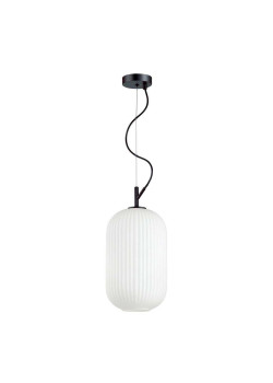 Подвесной светильник Odeon Light Pendant Roofi 4751/1