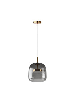 Подвесной светодиодный светильник Loft IT Dauphin 10041A