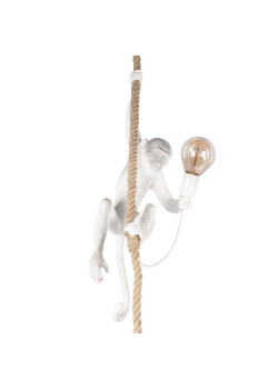 Подвесной светильник Loft IT Monkey 10314P