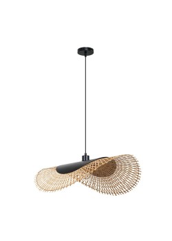 Подвесной светильник Arte Lamp WOODSTOCK A7063SP-1BK