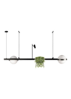 Подвесной светодиодный светильник Loft IT Jardin 10121/D