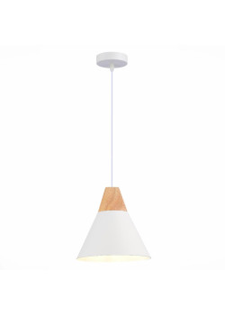 Подвесной светильник Evoluce MODICA SLE125103-01