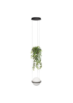 Подвесной светодиодный светильник Loft IT Jardin 10121/1P Dark grey