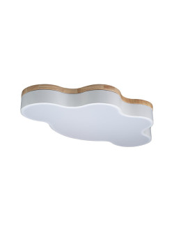 Потолочный светодиодный светильник Loft IT Axel 10005/36 white
