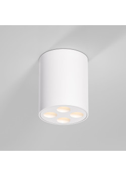 Потолочный светильник Elektrostandard 25111/LED a067482