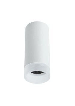 Потолочный светильник Arte Lamp Ogma A5556PL-1WH