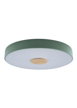 Потолочный светодиодный светильник Loft IT Axel 10003/24 green