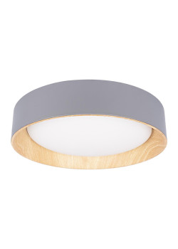 Потолочный светодиодный светильник Loft IT Coin 10202 Grey