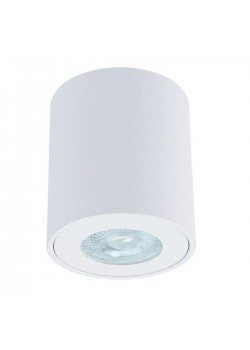 Потолочный светильник Arte Lamp Tino A1469PL-1WH