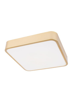 Потолочный светодиодный светильник Loft IT Flims 10228/C