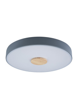 Потолочный светодиодный светильник Loft IT Axel 10003/24 grey
