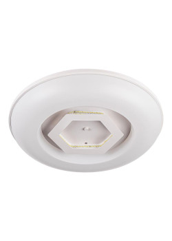 Потолочный светодиодный светильник Escada 10254/S LED