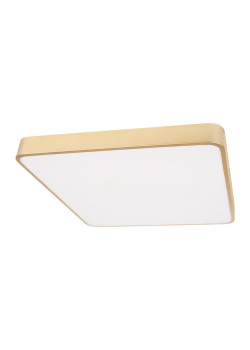 Потолочный светодиодный светильник Loft IT Flims 10228/D