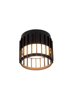 Потолочный светильник Arte Lamp Atria A8031PL-1BK