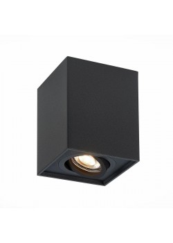 Потолочный светильник ST Luce ST109.407.01