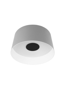 Потолочный светодиодный светильник Loft IT Duo 10360M Grey