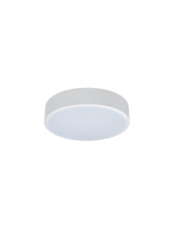 Потолочный светодиодный светильник Loft IT Axel 10002/12 white