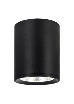 Потолочный светодиодный светильник Escada 20003SMU/02LED SBK