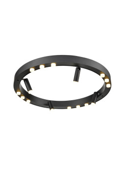 Потолочный светильник Vele Luce Satellite VL7172L12