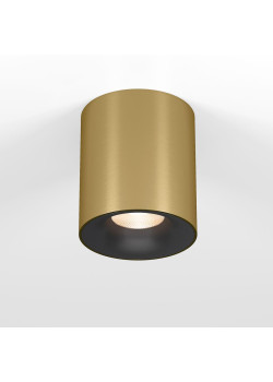 Потолочный светодиодный светильник Elektrostandard Primo 25116/LED a069413