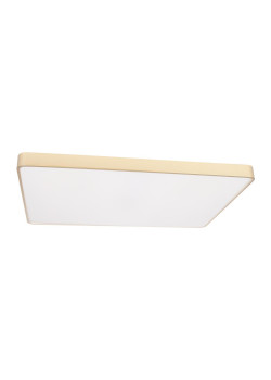 Потолочный светодиодный светильник Loft IT Flims 10228/E