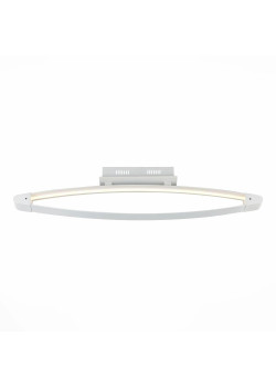 Потолочный светодиодный светильник ST Luce SL920.102.01