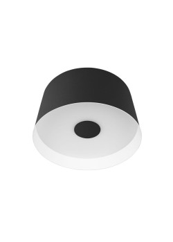 Потолочный светодиодный светильник Loft IT Duo 10360S Black