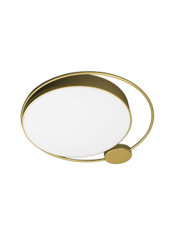 Потолочный светодиодный светильник Loft IT Mike 10063