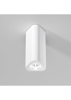 Потолочный светильник Elektrostandard 25110/LED a067062