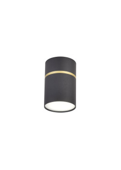 Потолочный светодиодный светильник Favourite Dunia 3068-1C